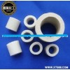 Supply Industrial ceramic ring tower packing