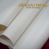 Descor PVC Stretch Ceiling Film