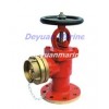 Marine Flanged Fire Hydrants