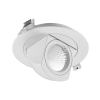 Gimbal Downlight